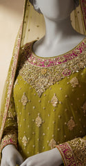 Zilnaaz | Gharara | Dhaani