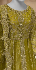 Shanaya | Maxi | Stitched | Dhaani