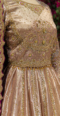 Elara | Lehenga | Golden & Ruby Red