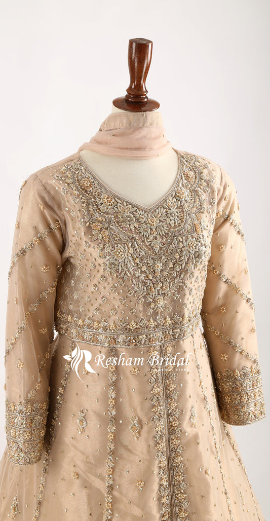 Naseeb  | Maxi | Golden