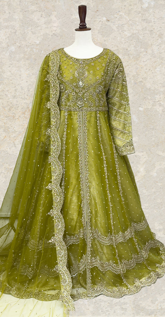 Shanaya | Maxi | Stitched | Dhaani